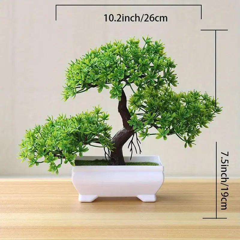 "Mini árbol de interior"